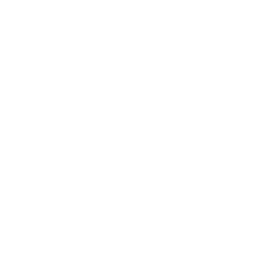 Team Icon